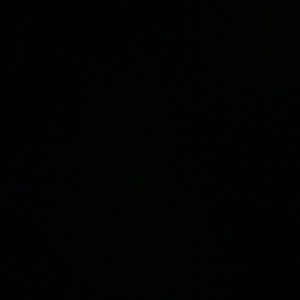 Meet your Posher, Shae